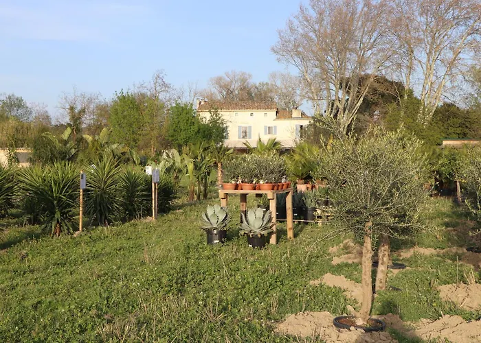 Le Mas Des Cerisiers Jacuzzi Et Sauna Inclus Pour Tous Les Logements Avignon
